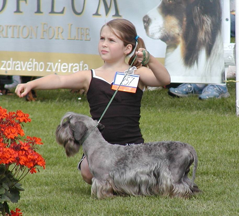 vystava4.jpg